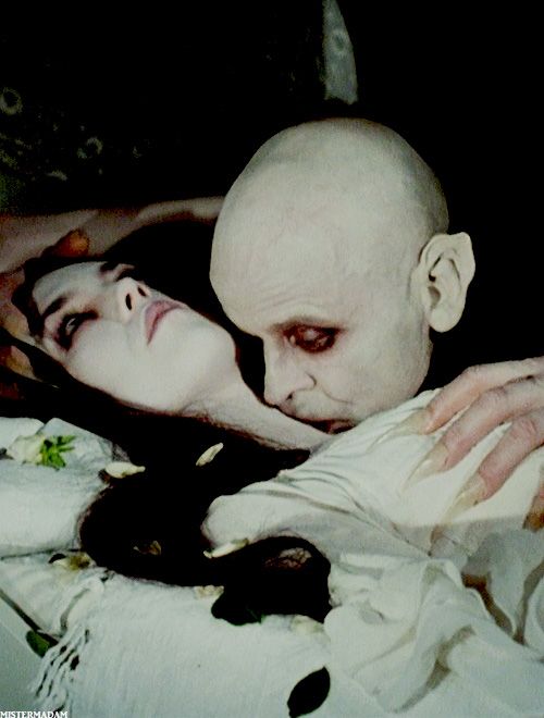 Nosferatu - Phantom der Nacht