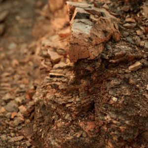 fotorealismo possibile screen