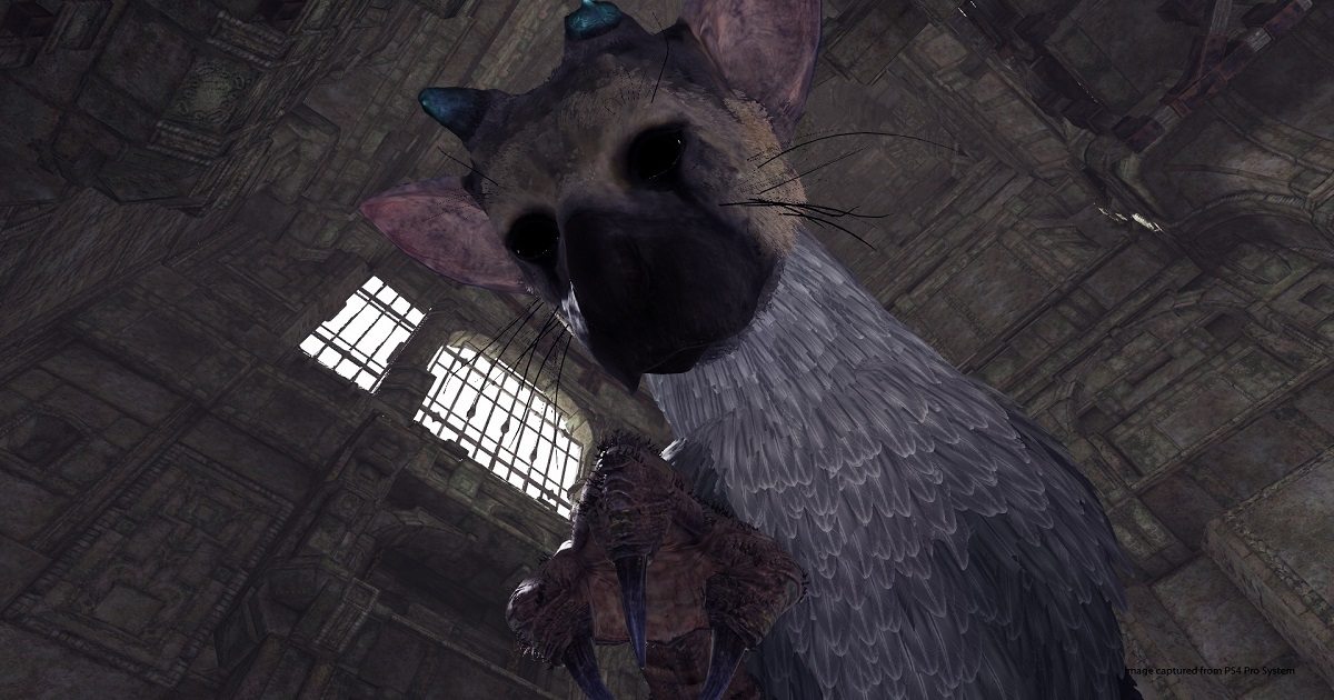 the last guardian vr