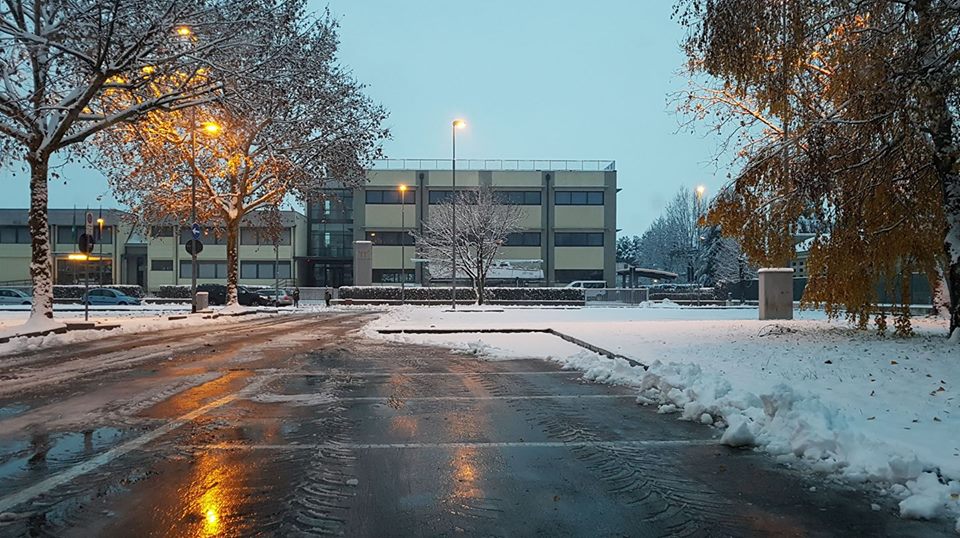 fondazione ikaros