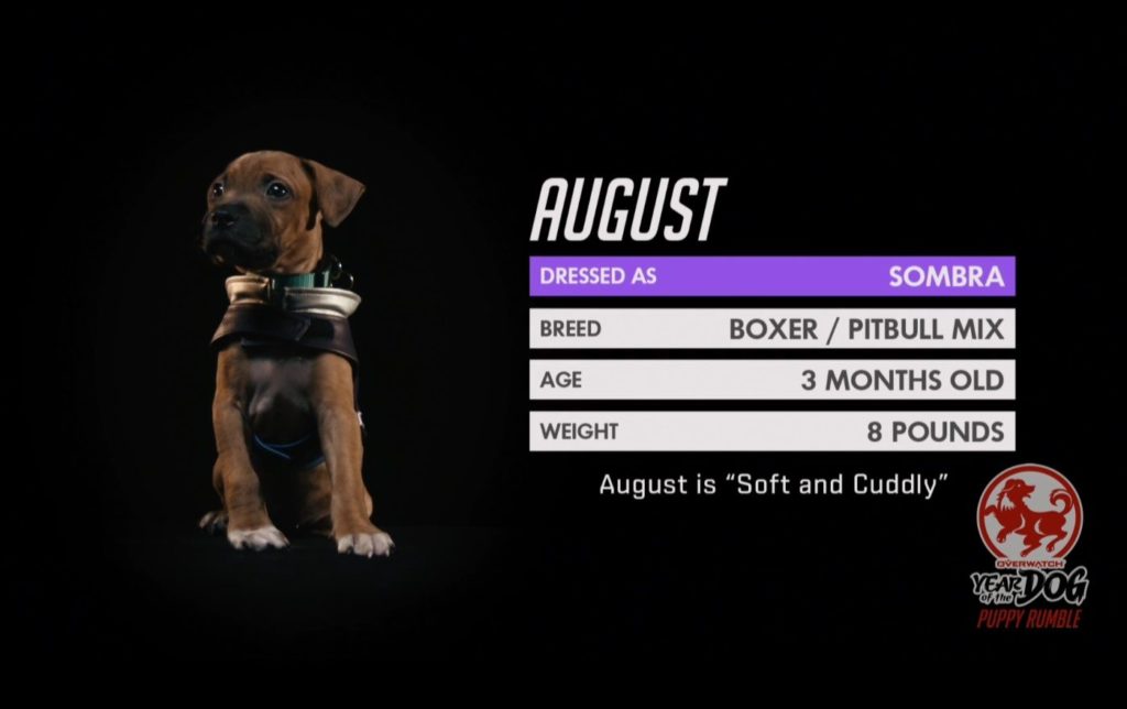 Overwatch Puppy Rumble