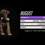 Overwatch Puppy Rumble