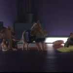 Overwatch Puppy Rumble