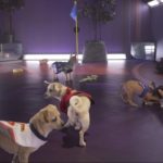 Overwatch Puppy Rumble