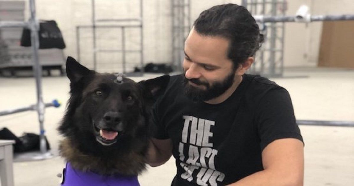 the last of us part II cani