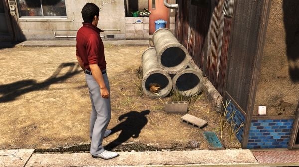 yakuza 6 dove trovare i gatti