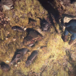 fallout 76 scena e3 2018