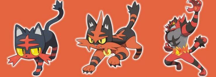 litten-starter