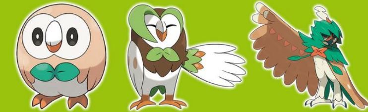 rowlet-starter