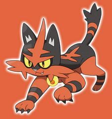 torracat