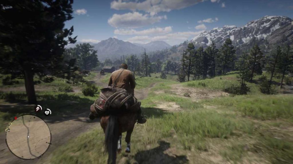 Red Dead Redemption 2 a cavallo pelle