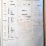 Arkadia scheda giocatore