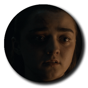 arya stark 8x4 avatar