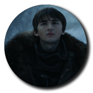 brann stark avatar 8x4 got