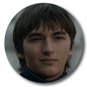 brann stark avatar 8x6