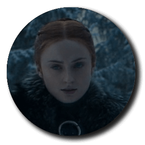 sansa stark avatar 8x4