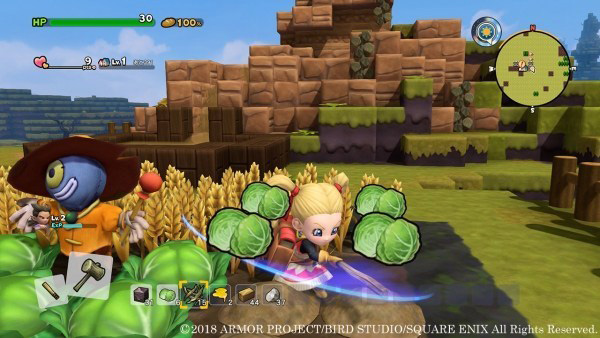 dragon quest builders 2 raccolta cavoli
