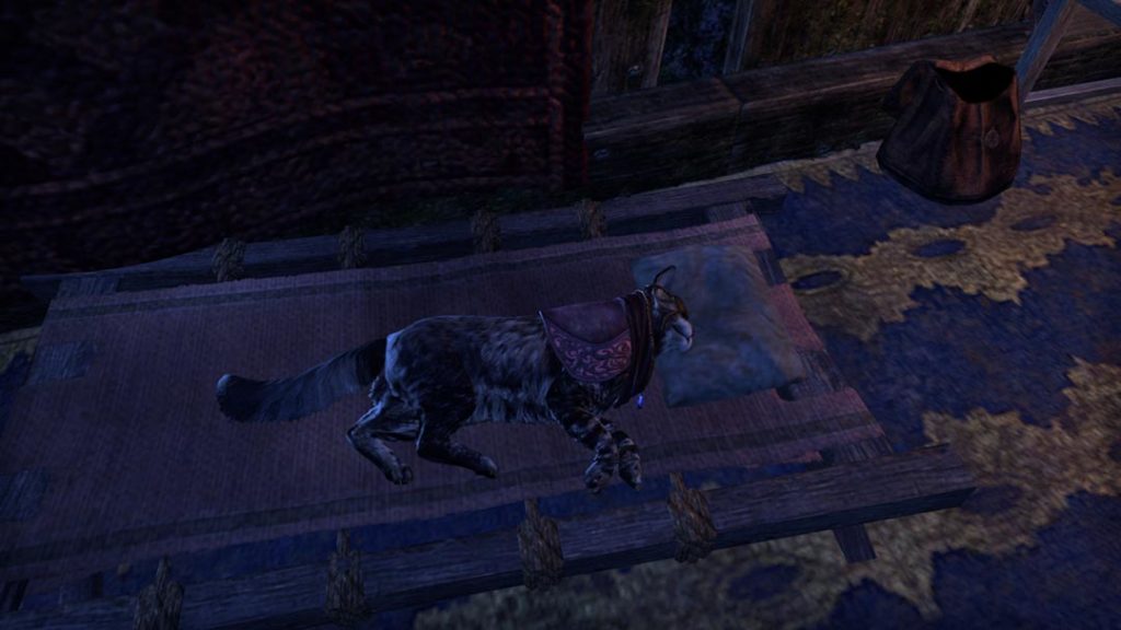 Un altro gatto Alfiq in The Elder Scrolls Online
