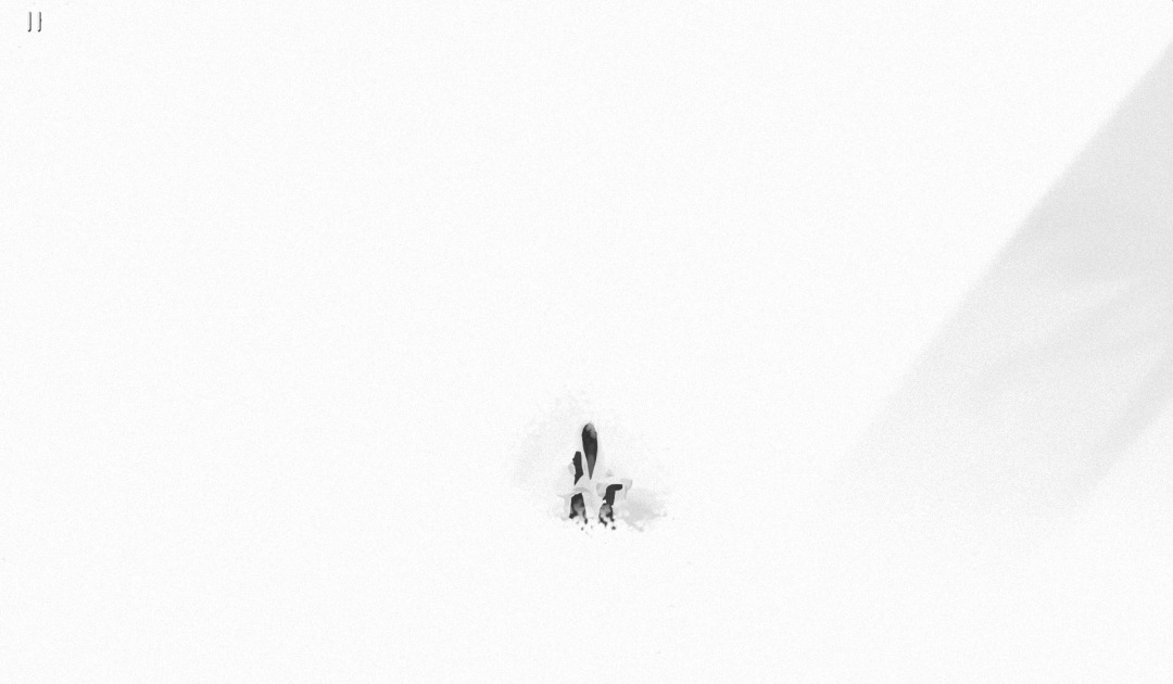 Screenshot di The Wanderer Frankenstein's Creature