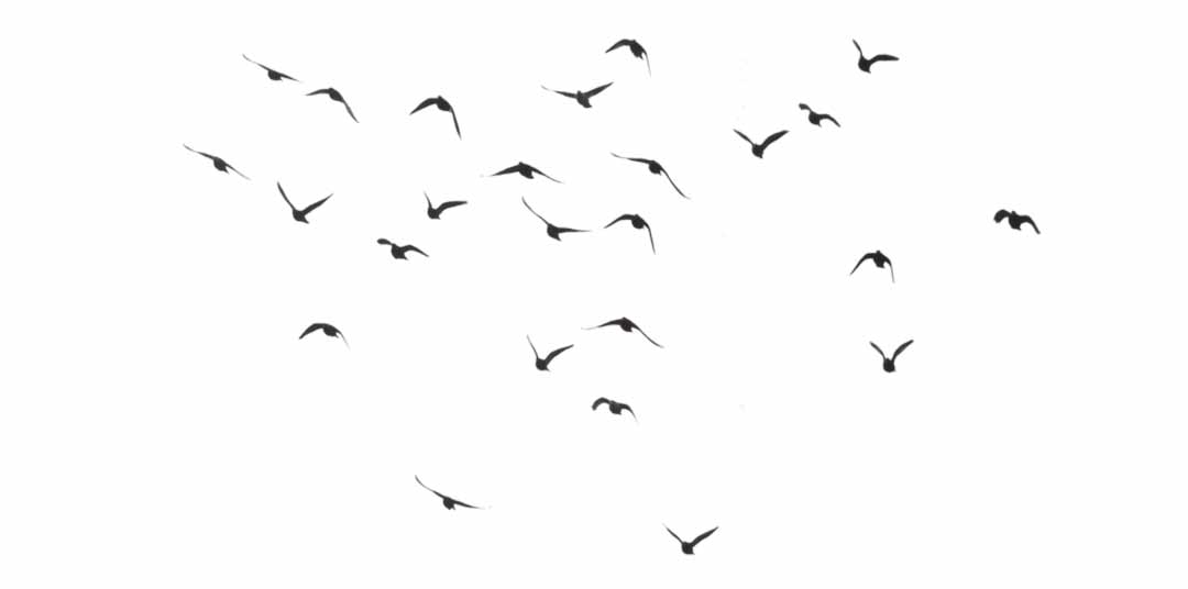 argomenti sensibili nel gioco di ruolo