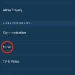 guida per collegare alexa a un servizio musicale diverso da amazon music