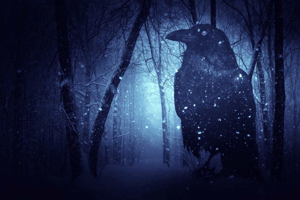 Corvo nero in una foresta innevata e oscura