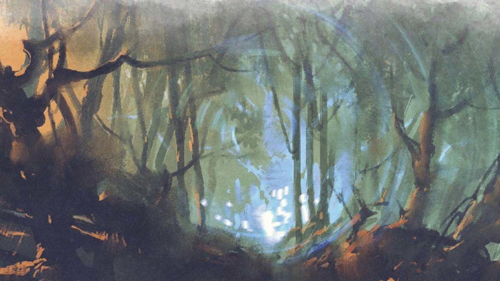 Le foreste fiabesche di Svilland