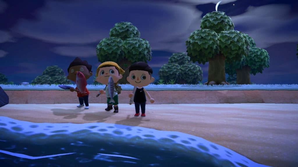 Animal Crossing New Horizons pesca in compagnia