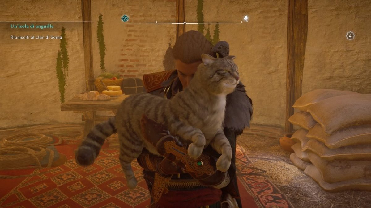 Assassin's Creed Valhalla gatto da coccolare