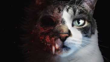 etched memories, horror con un gatto