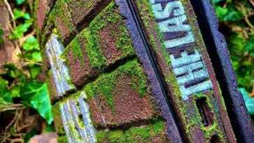 the last of us, the last of us parte II, playstation 5, playstation 5 the last of us, playstation 5 personalizzata the last of us,