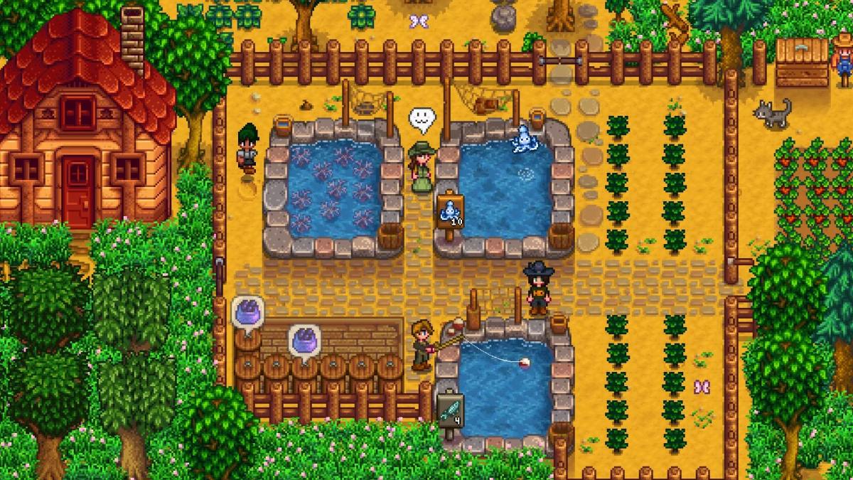 stardew valley