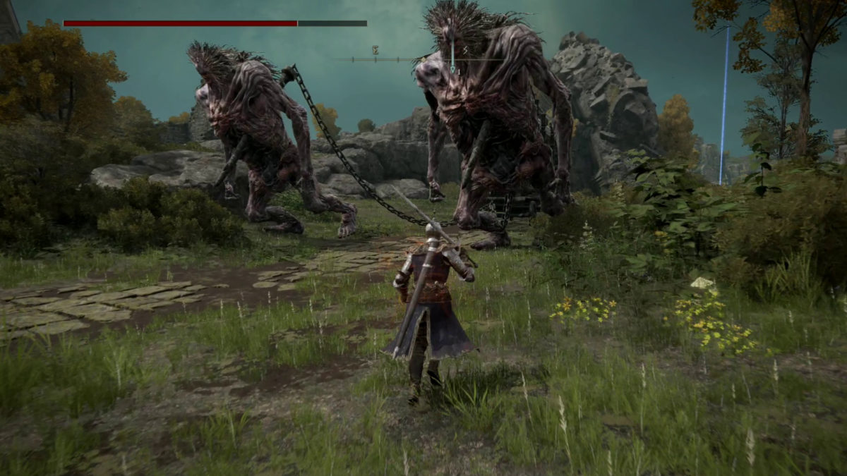 Elden ring ps5 troll