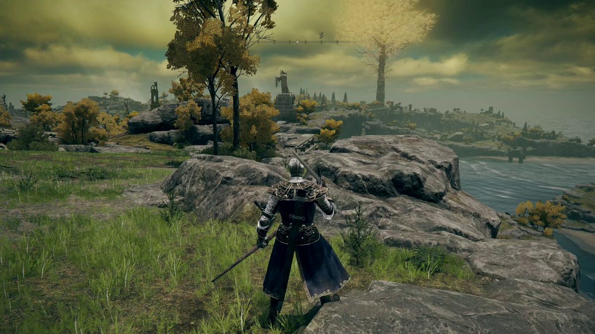 elden ring ps5 grafica