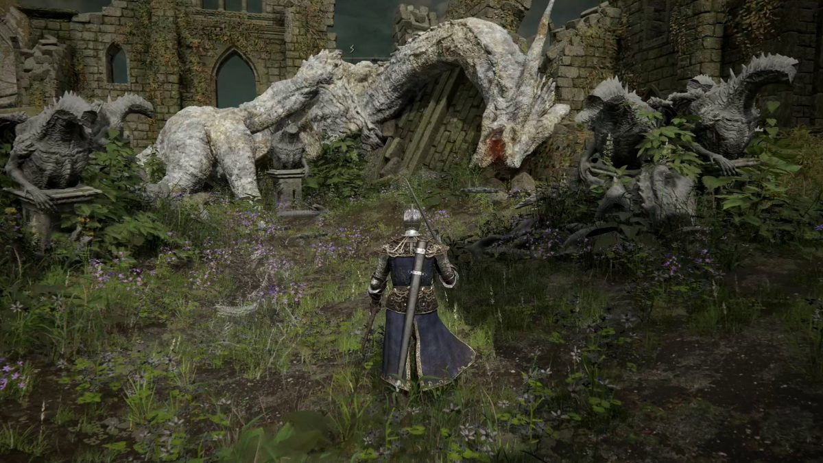 elden ring ps5 frame rate