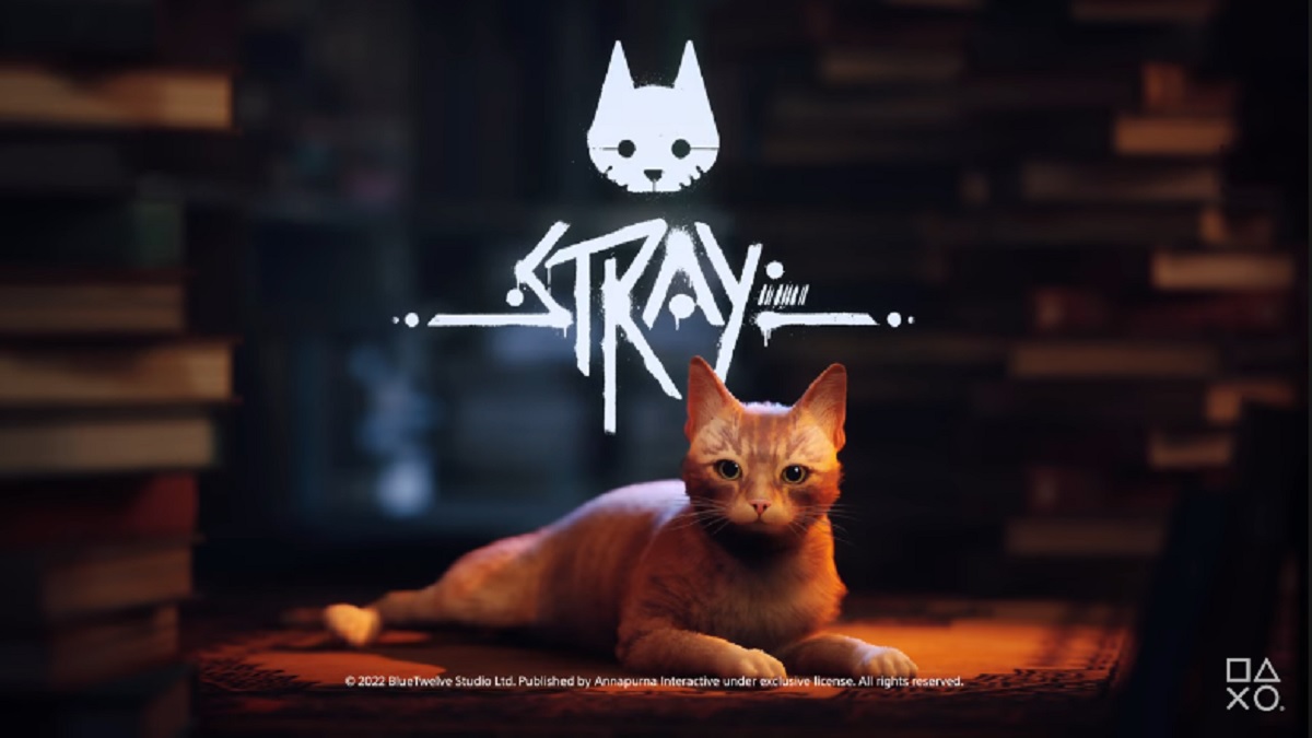stray-analisi-trailer