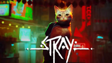 stray copertina