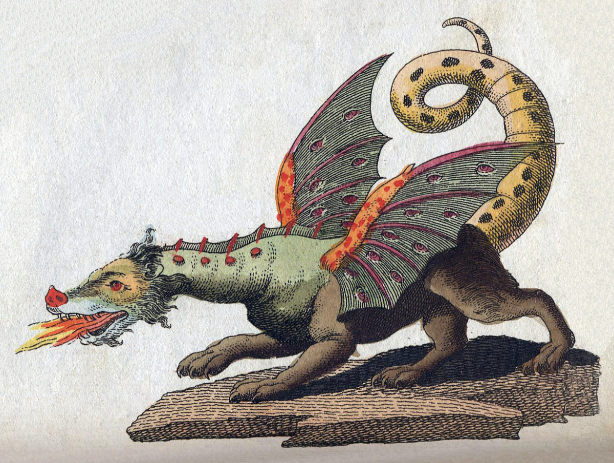 Rappresentazione drago dell'età medievale