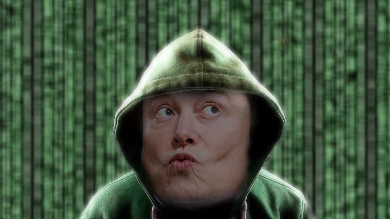 Elon Musk Assume hacker