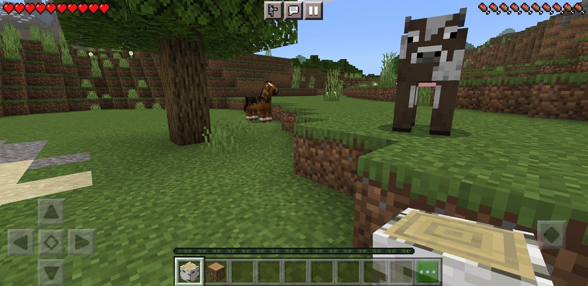 Screen-shot di Minecraft