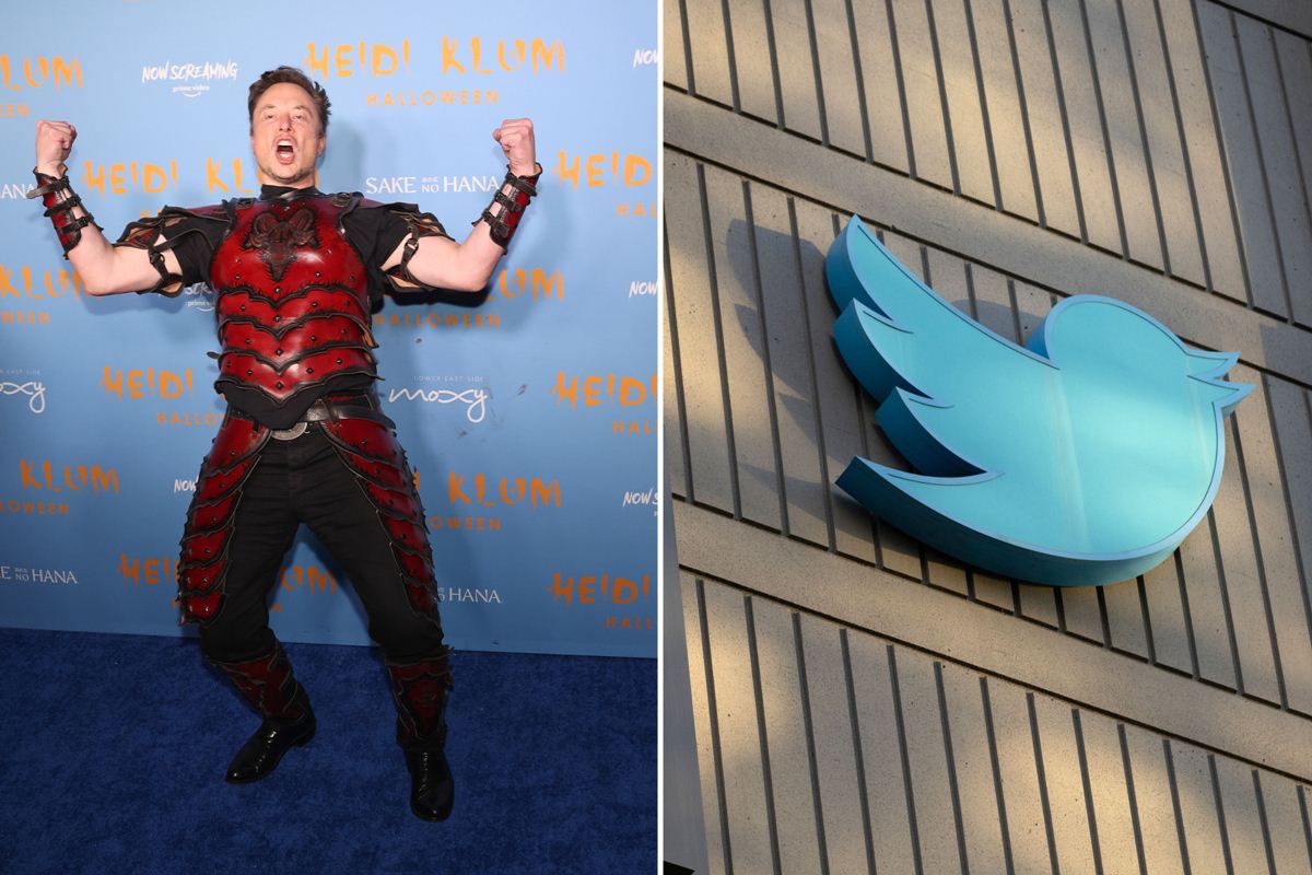 Musk travestito da cavaliere a sinistra, mentre a destra il logo blu di Twitter.