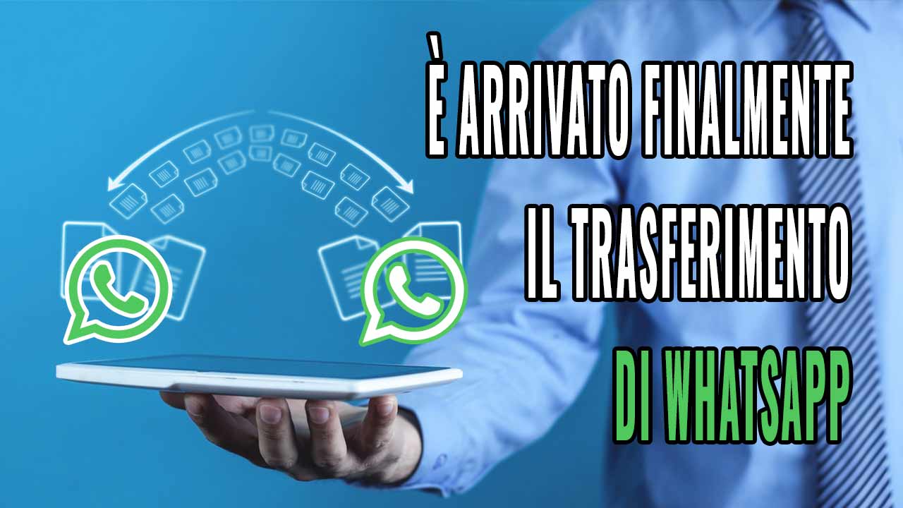 WhatsApp: will finally allow transfer |  Everyone was waiting for her