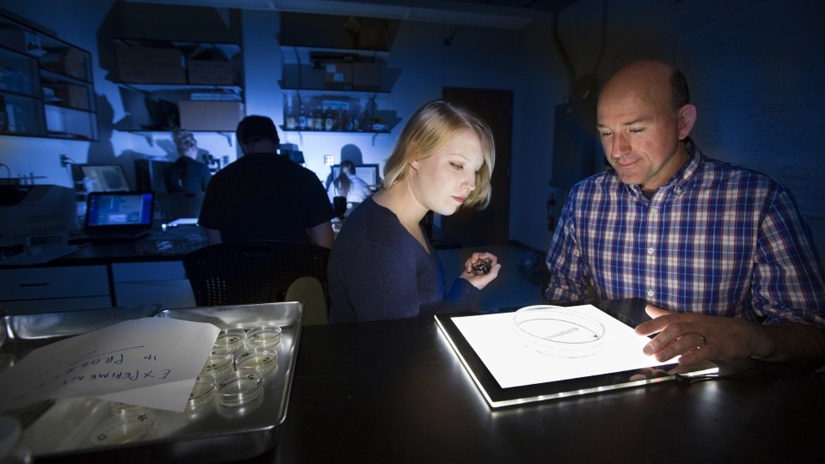 John DeLong analizza nel suo laboratorio del Nebraska alcuni campioni d'acqua di stagno.