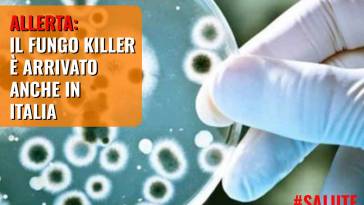 Fungo killer arriva in italia