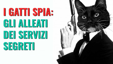 i gatti spia utilizzati dai governi come spie
