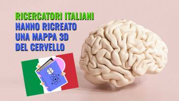 ricercatori italiani hanno ricreato una mappa 3d del cervello e dell ippocampo