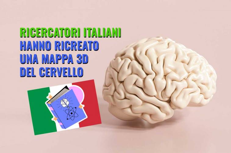 ricercatori italiani hanno ricreato una mappa 3d del cervello e dell ippocampo
