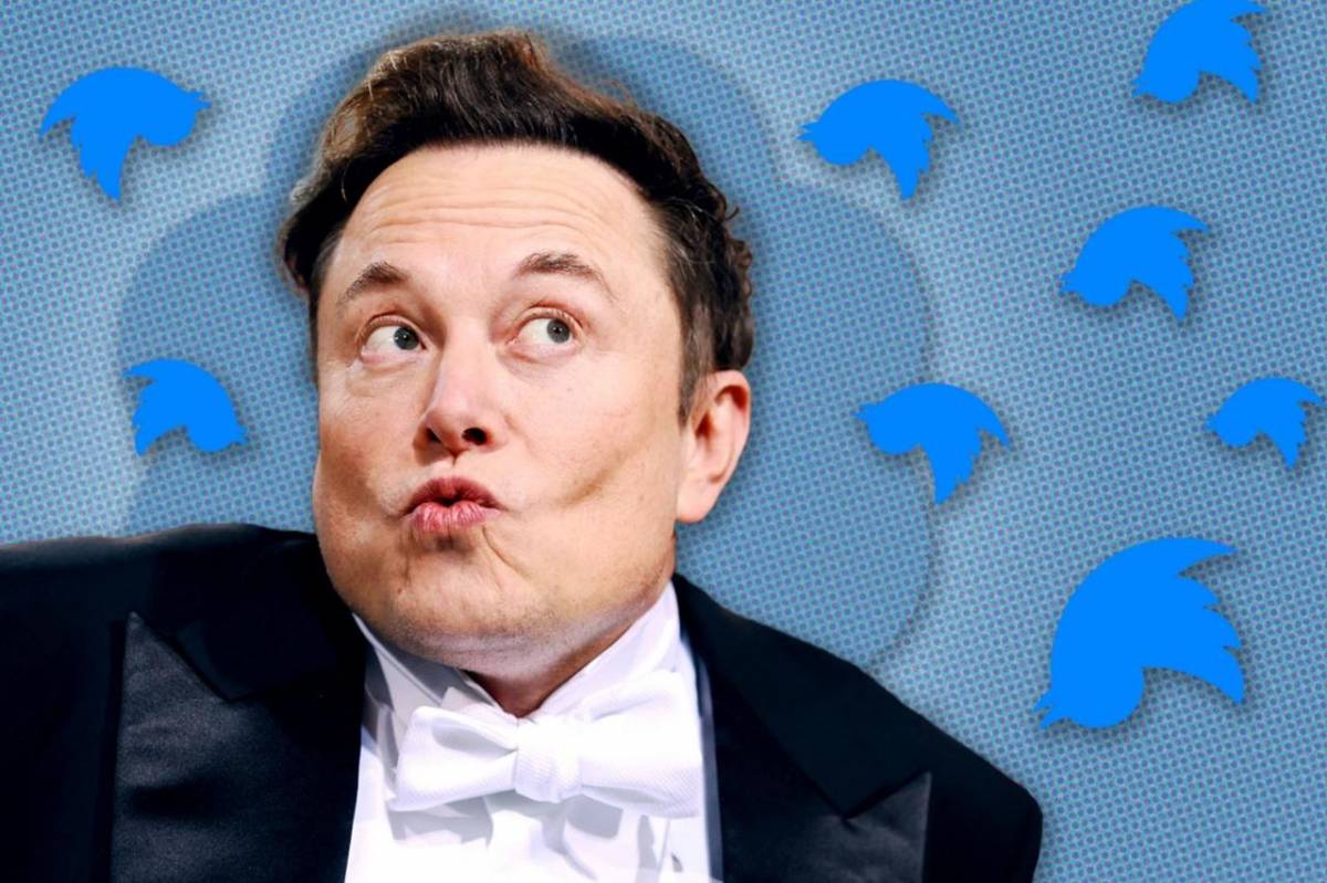 Elon Musk circondato dagli uccellini blu di Twitter sottosopra.