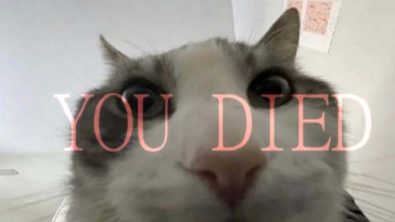 dark souls ma con i temibili gattini