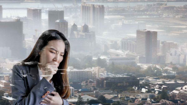 inquinamento e cause